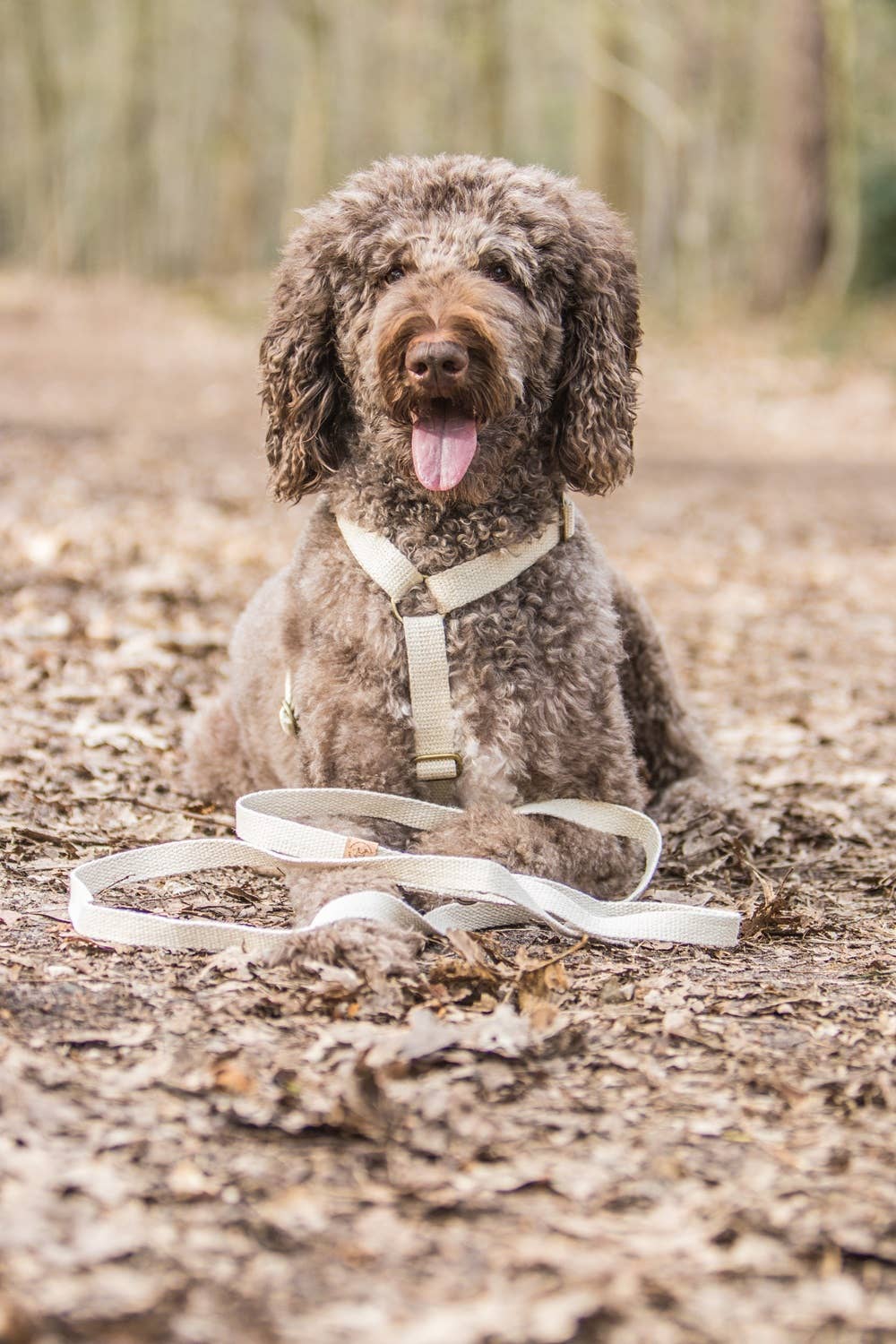 Simply Hemp Leash | Shell White