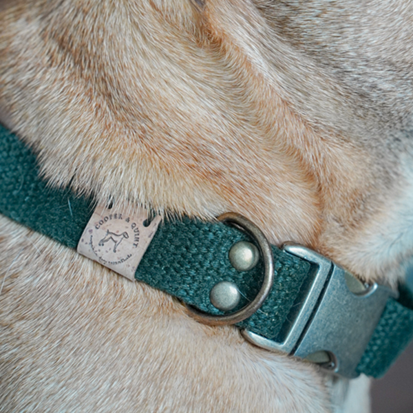 Simply Hemp Collar | Forest Green