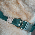 Simply Hemp Collar | Forest Green