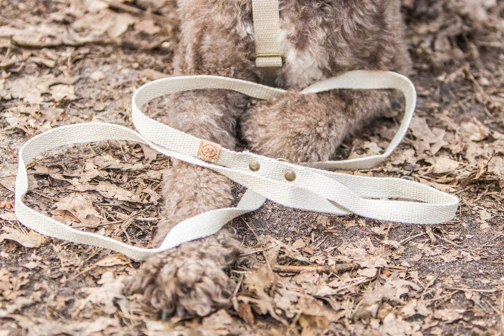 Simply Hemp Leash | Shell White